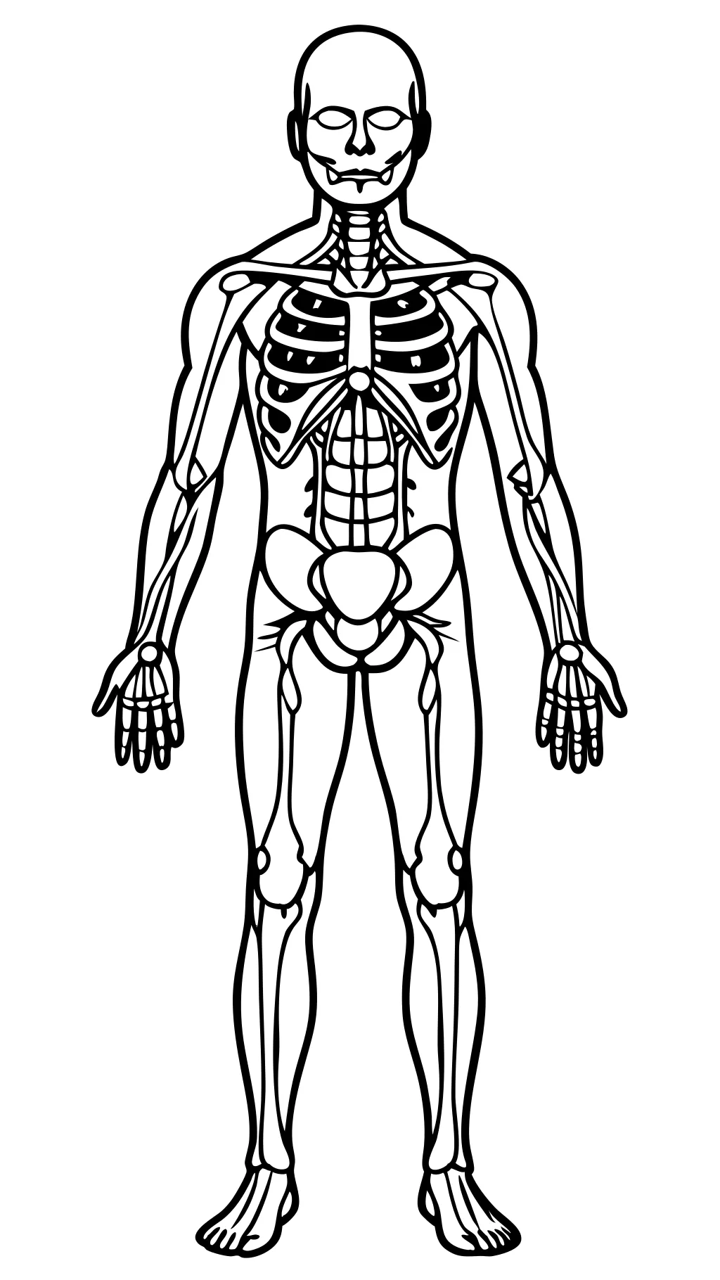 coloriage anatomie